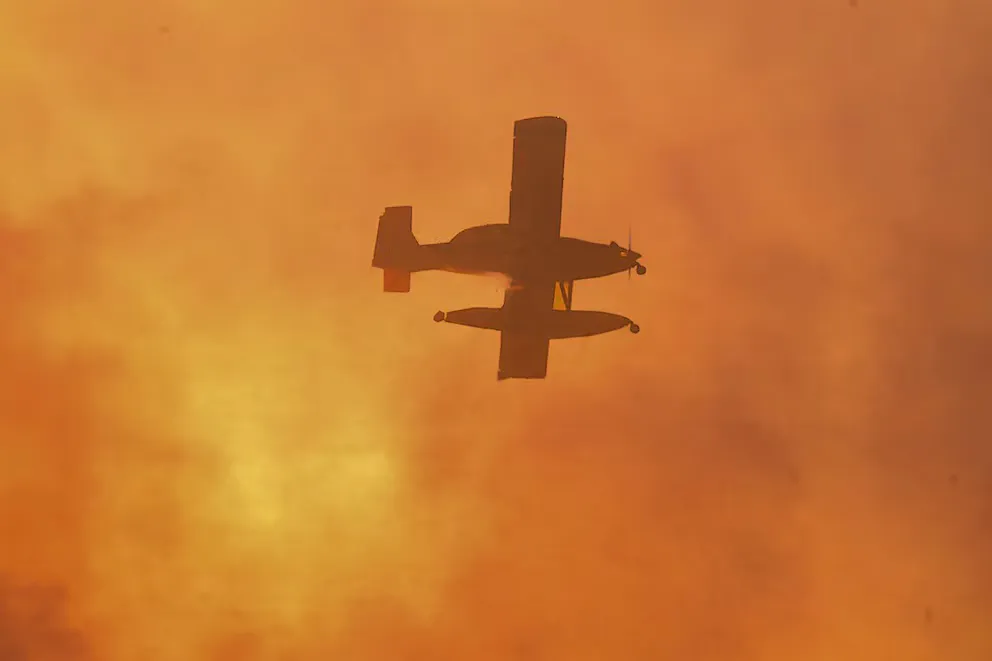 imagen_2024-09-30_074308578