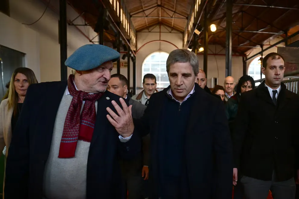 imagen_2024-10-14_085731598