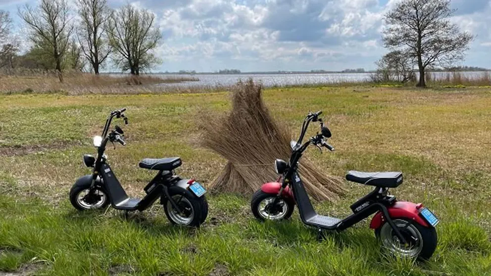 imagen_2025-01-09_094011168