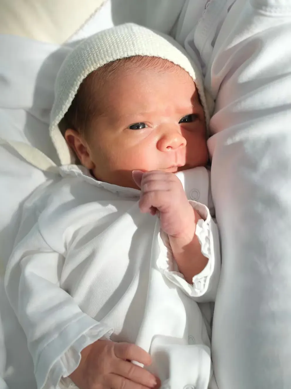 imagen_2024-09-17_084925425