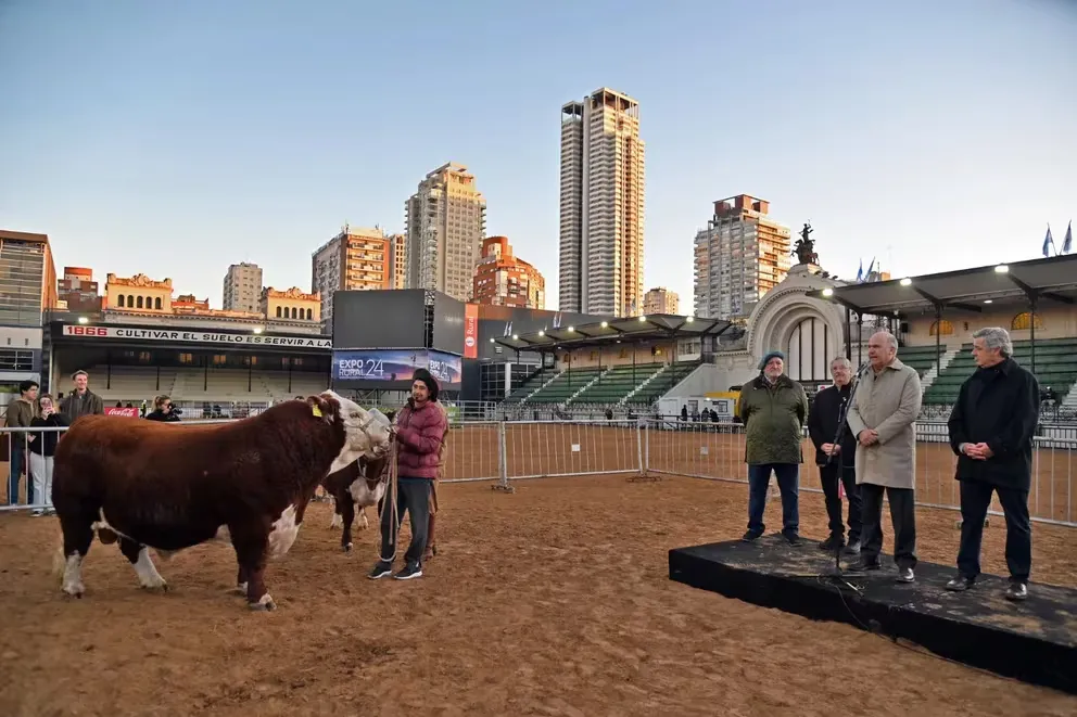 imagen_2024-07-23_153334423