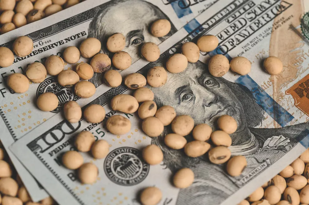 imagen_2024-10-14_085802869