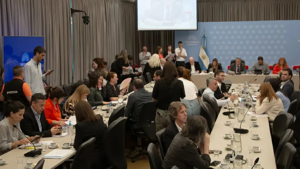 imagen_2024-10-17_083249330