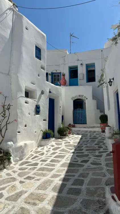 imagen_2024-12-23_093121127