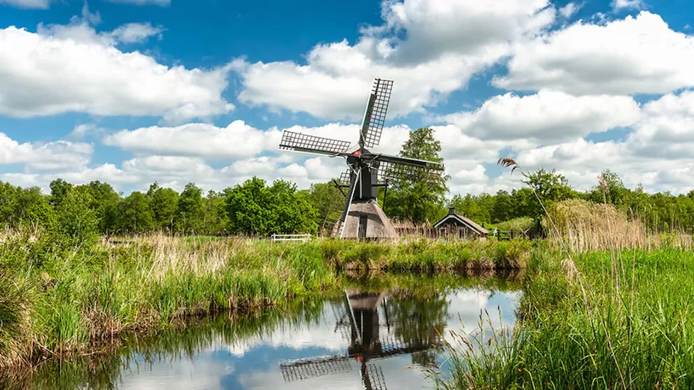 imagen_2025-01-09_094034377