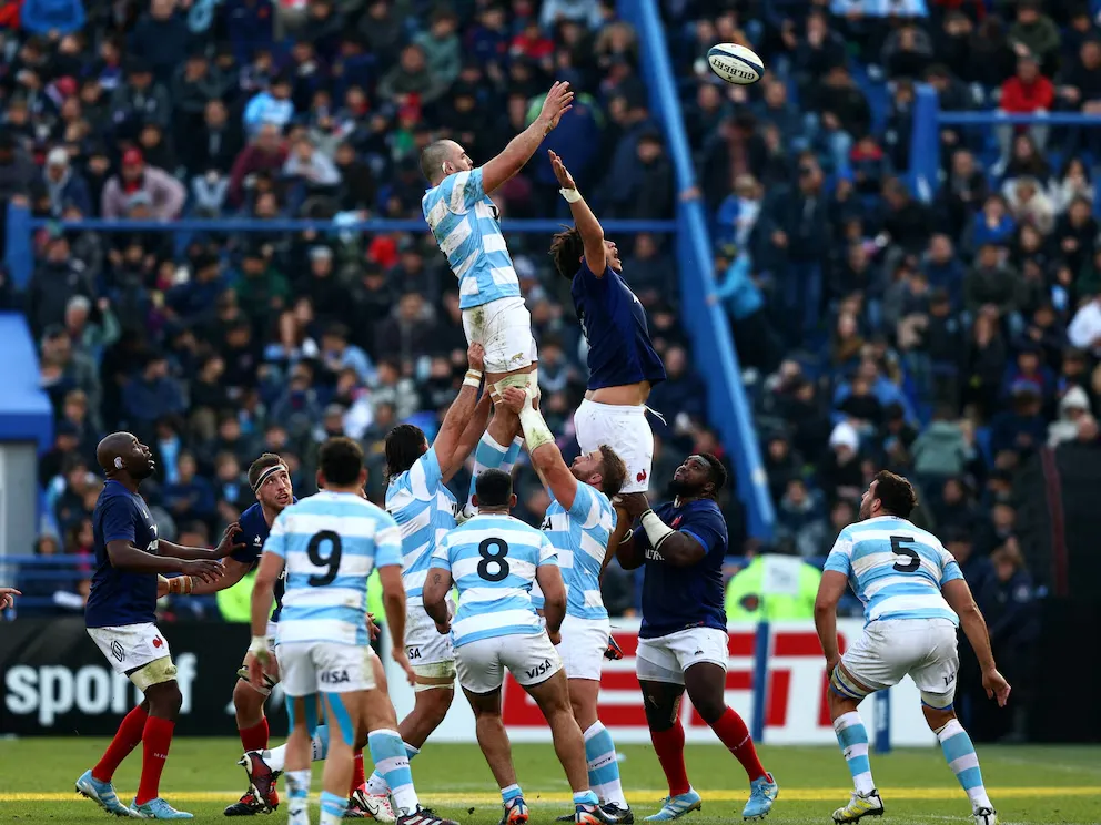 imagen_2024-11-22_090419882