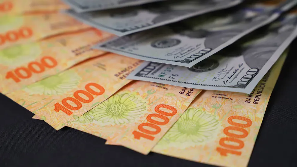 imagen_2024-12-27_101024442