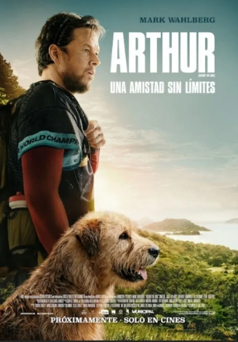 imagen_2024-06-13_134536706