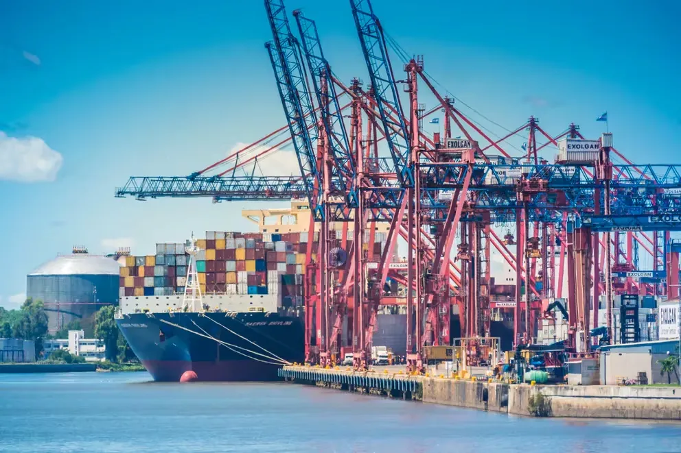 imagen_2024-07-24_102837795