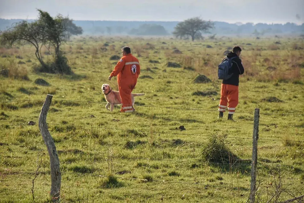 imagen_2024-06-17_131119362