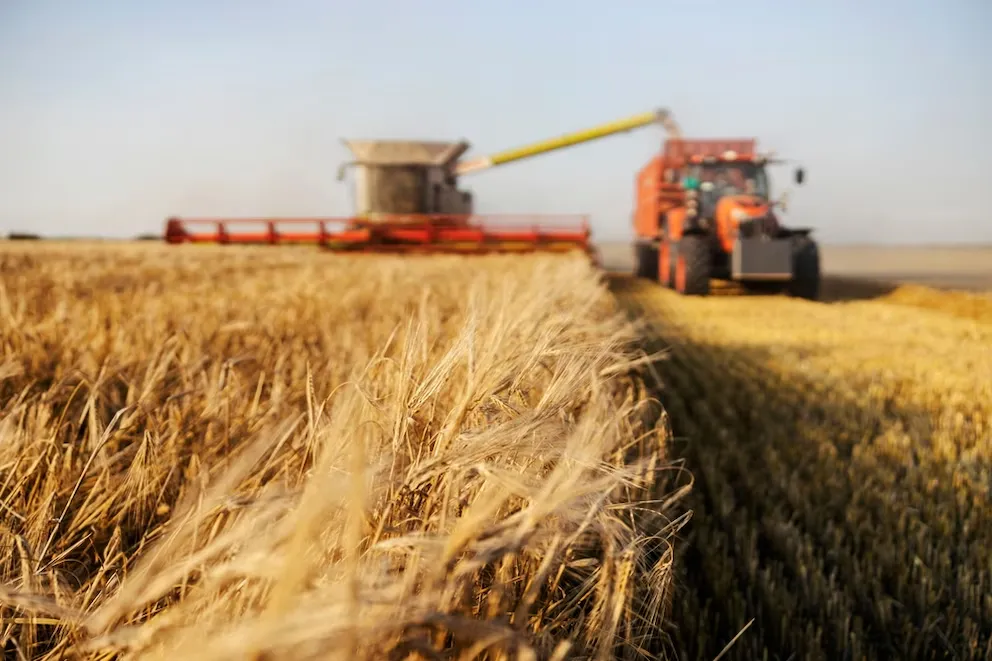 imagen_2024-11-28_091338484