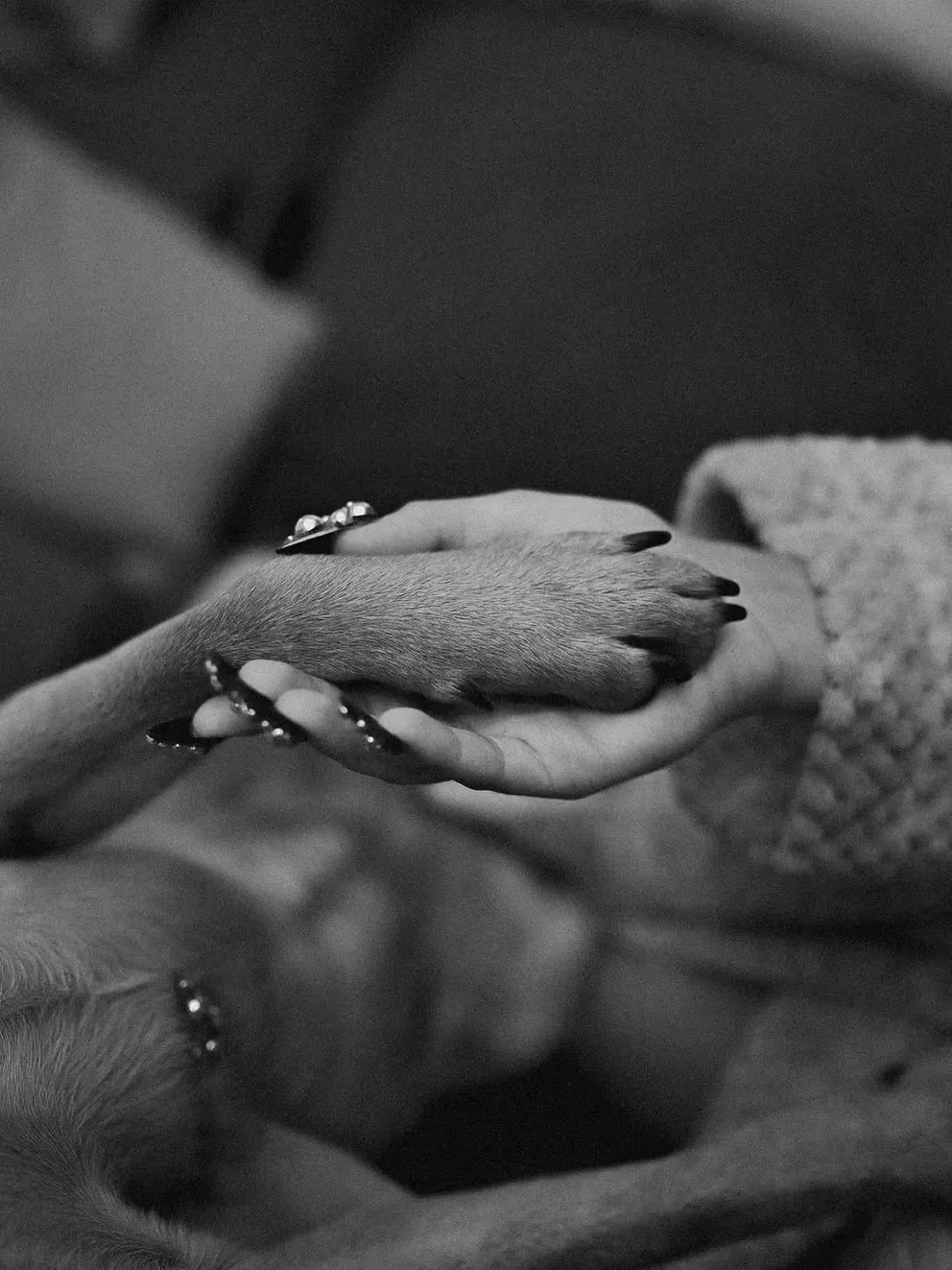 imagen_2024-09-09_081806104