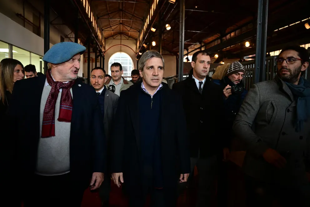 imagen_2025-01-24_091038066