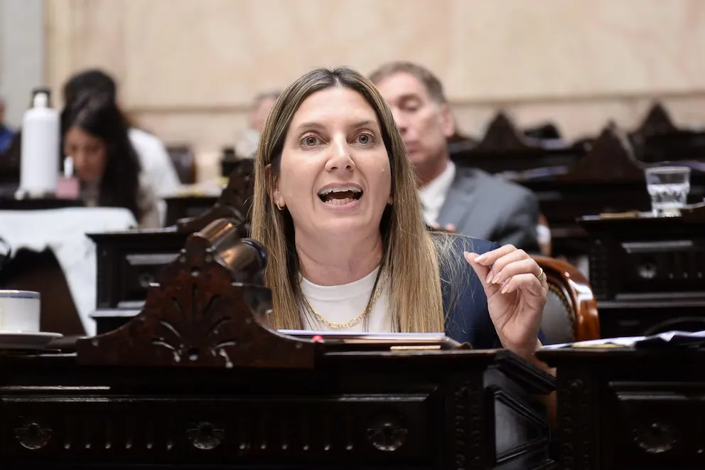 imagen_2024-11-28_092009351