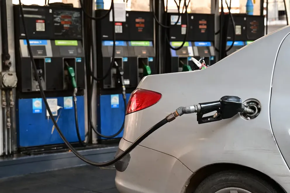 imagen_2024-12-30_094231431