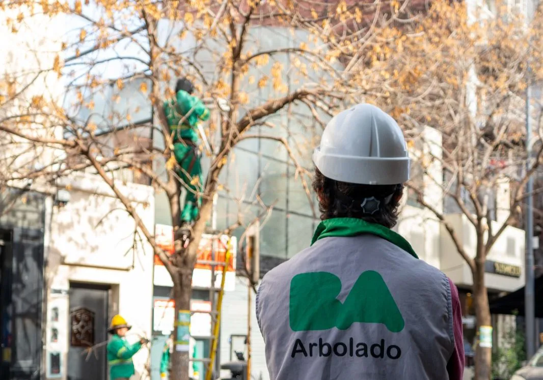 imagen_2024-07-25_093341978