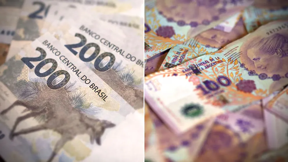 imagen_2024-12-24_111043296