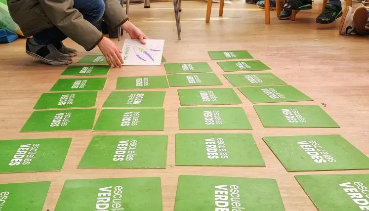 imagen_2024-07-30_094721734