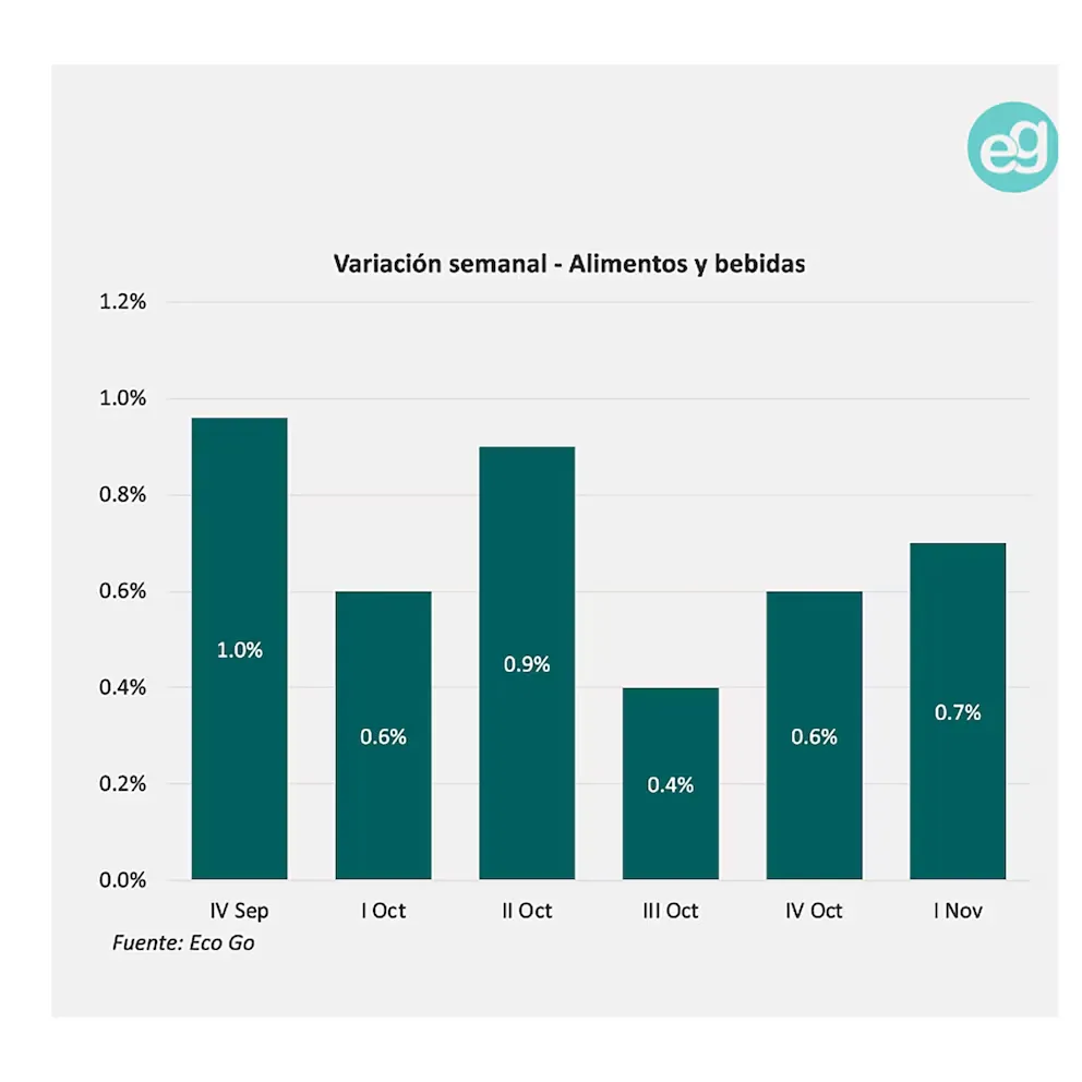 imagen_2024-11-13_085721748