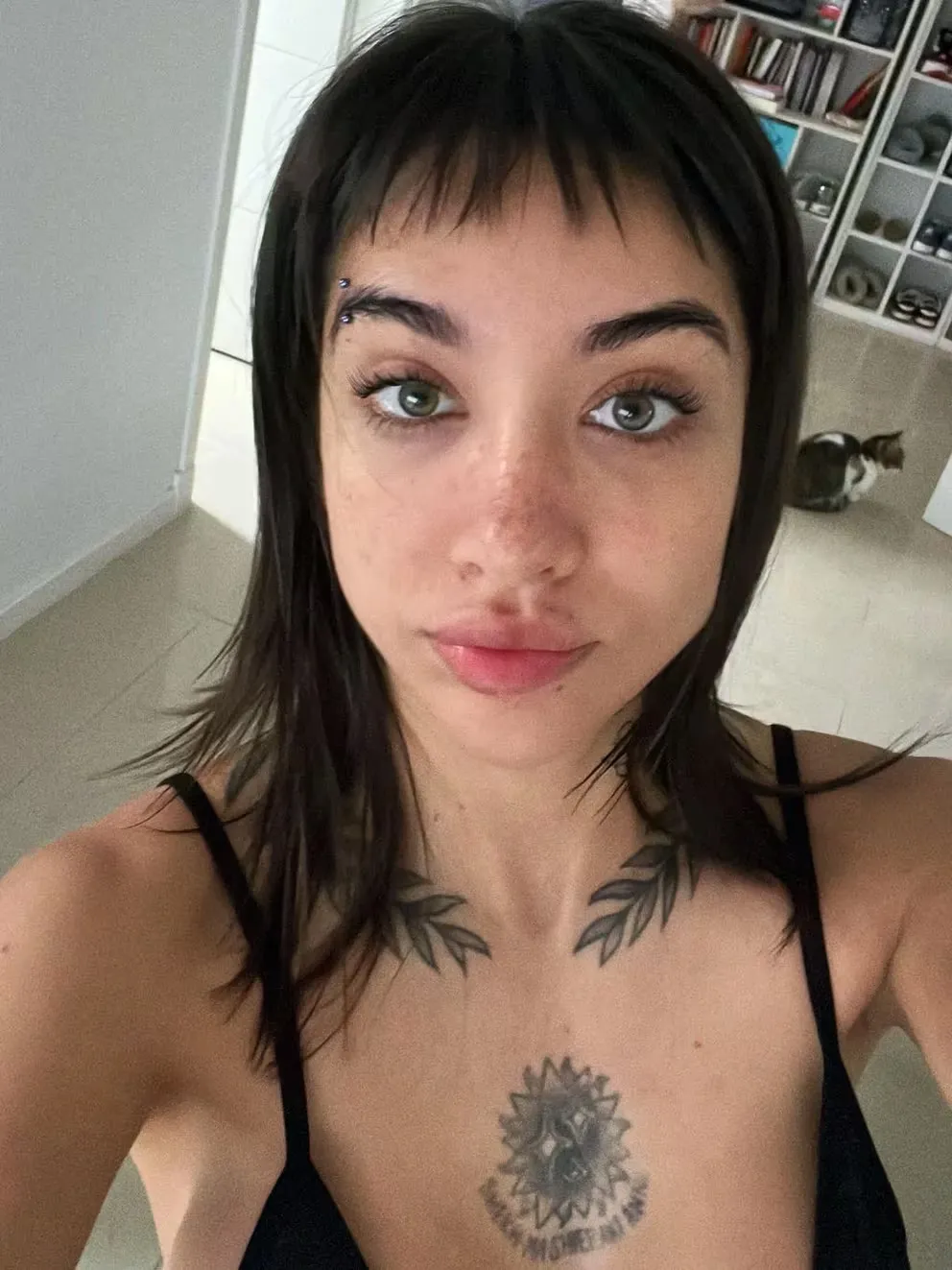 imagen_2024-07-31_093419224